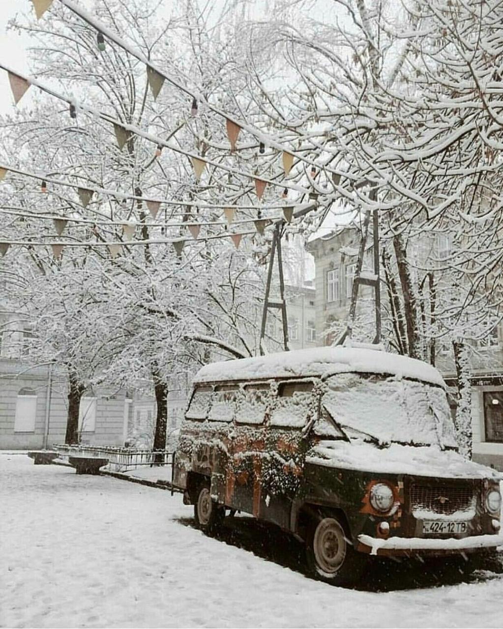 Green Apartment Львів Екстер'єр фото